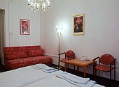 Luxurious Room